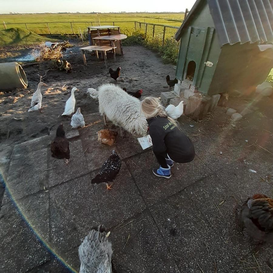 Chalet Weizicht Op Minicamping Hoogelande Grijpskerke Exterior foto
